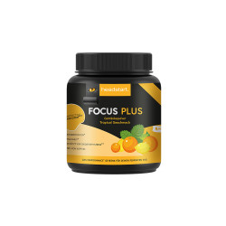 Headstart focus plus Energie-Instant Pulver Tropical - 500g